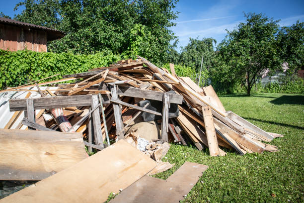 Best Recycling Services for Junk  in Carpentersvle, IL